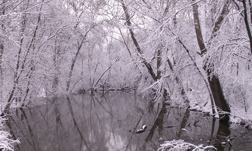 FBW-winter-1000x600