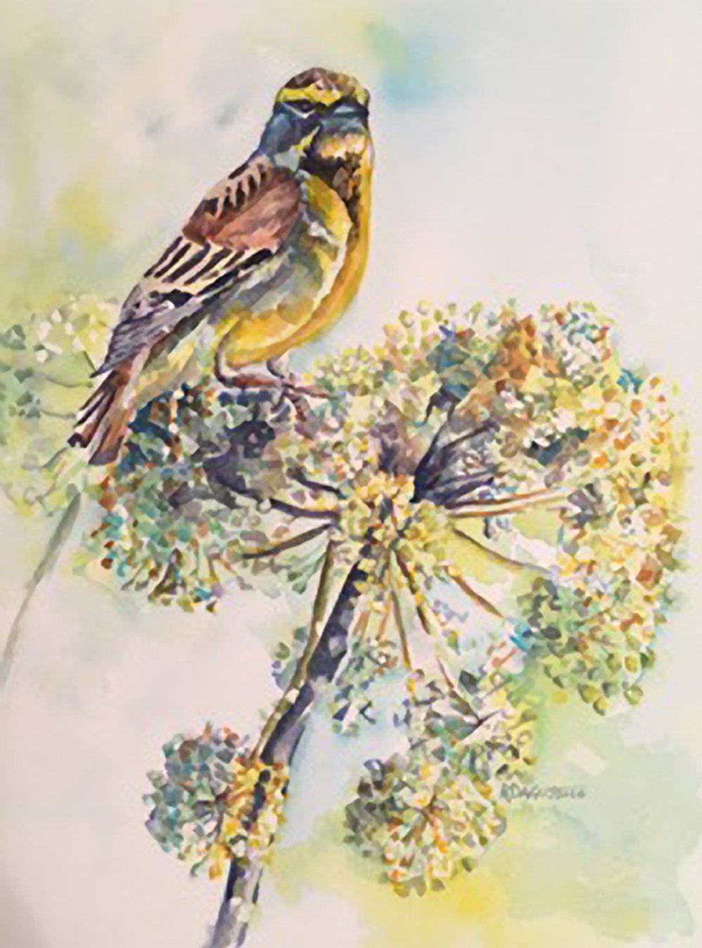 12-Dickcissel-Rose-Marie-Dagostino