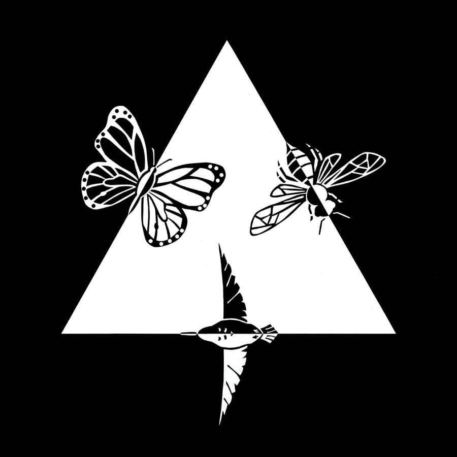 A black and white depiction of a butterfly, fly, and bird on each side of a triangle.