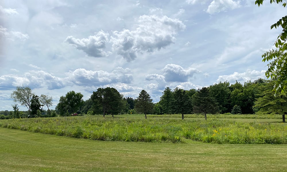 Dressage-arena-prairie-3-1000x600