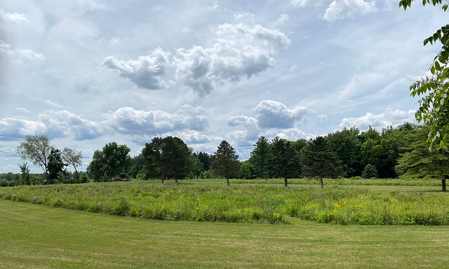 A field is at the farm is the old site of horse competitions.