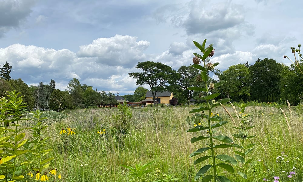 Dressage-arena-prairie-East-Farm-Barn-1000x600