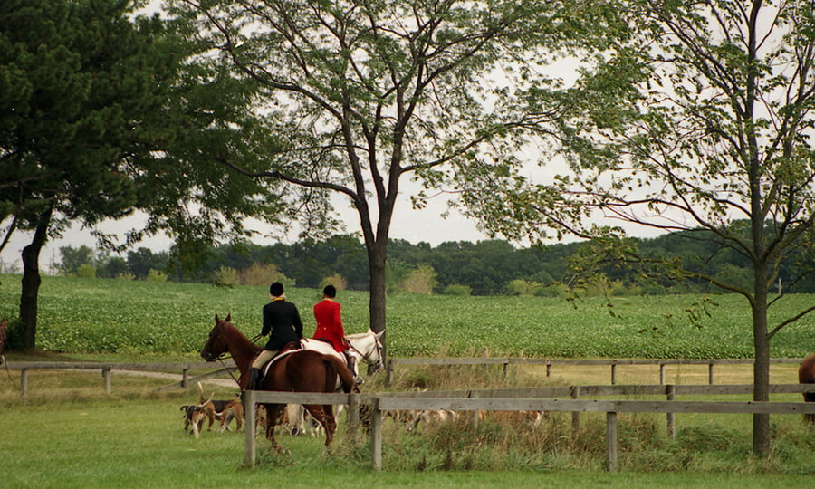 Two people on horseback follow dogs around the property.