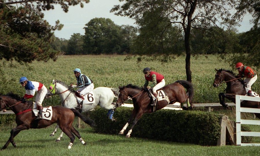 Horses clear a bush jump during a steeplechase race.