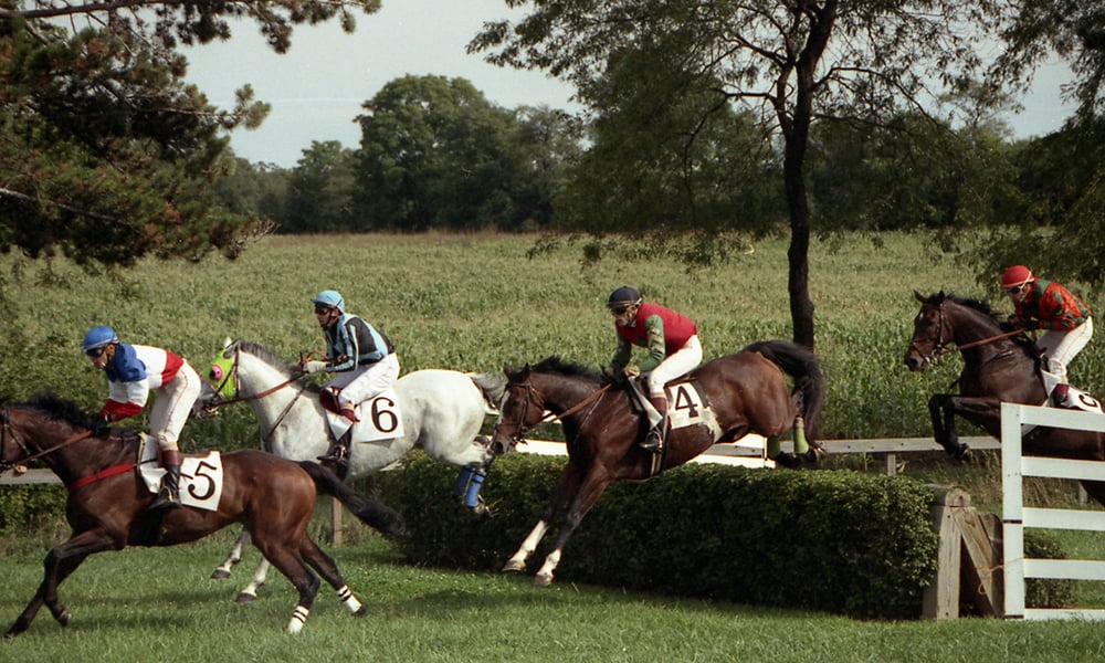 sjf-steeplechase-1000x600