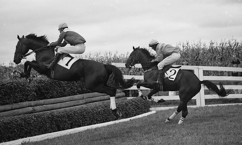 steeplechase-jump-1000x600