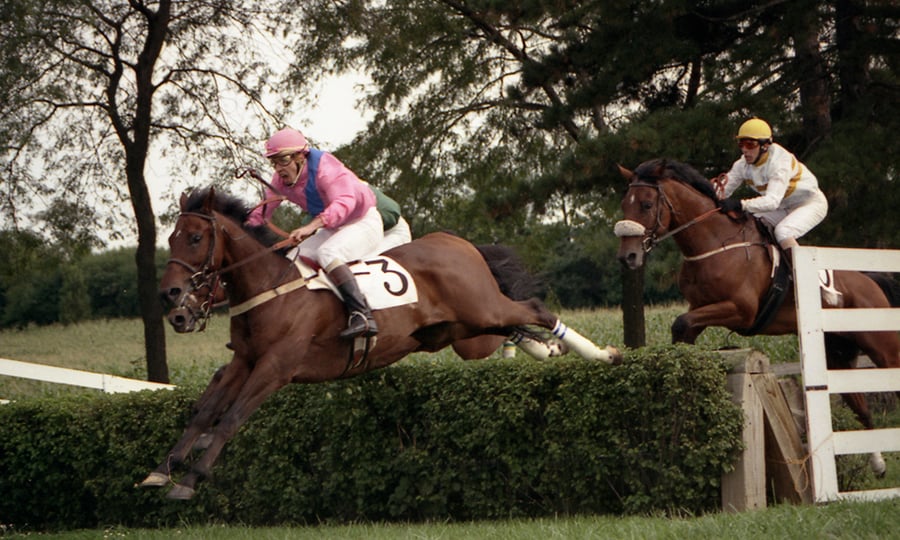 A horse prepares to land after jumping over an obstacle during a race.