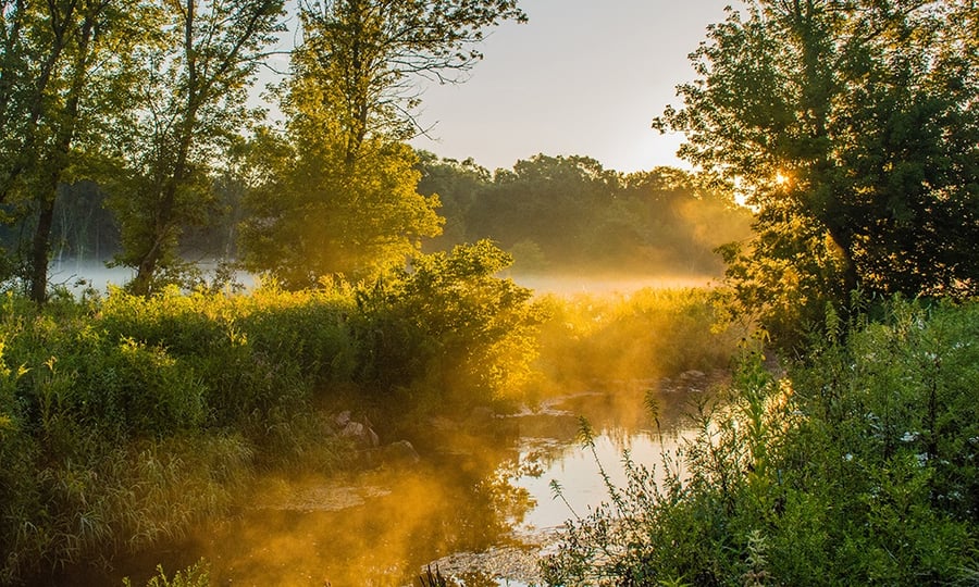 Low sunlight reflects off a creek as fog rises from an adjacent field.