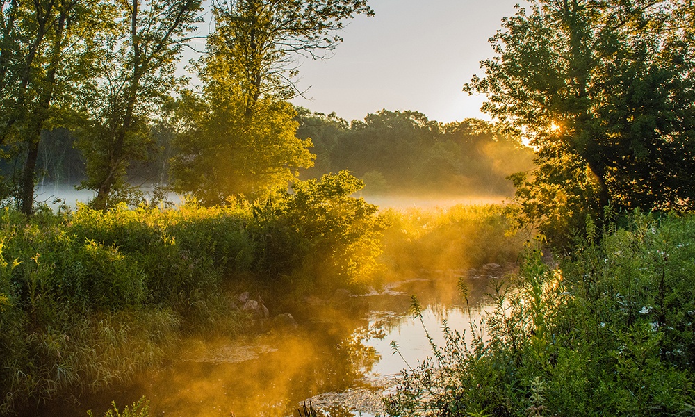 spring-brook-creek-st-james-farm