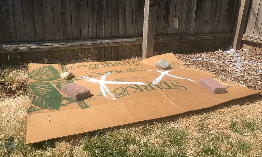 Rocks hold down cardboard to kill grass to prepare a spot for a native shrub.