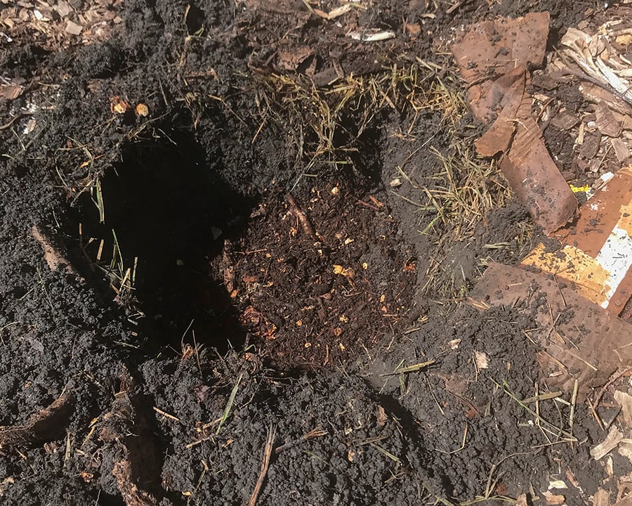 A hole is dug and filled with compost to help plants grow.