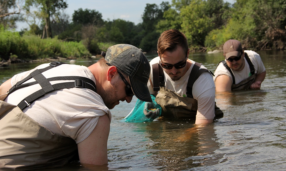 natural-resources-staff-place-mussels-river