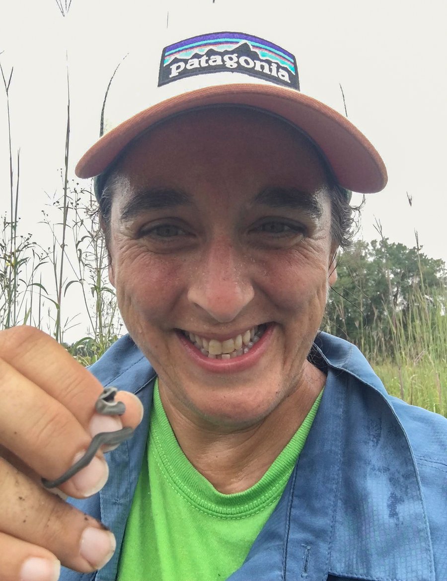 A woman holds a baby smooth green snake.