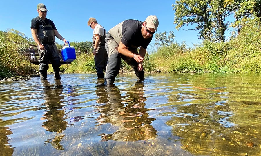 Three men in waders stand in a shallow stream, inspecting the water and its inhabitants.