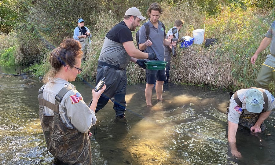A crew in waders stand in a stream as they prepare to release mussels.