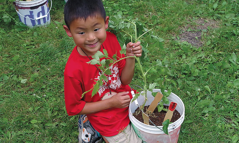 camper-with-tomato-plant