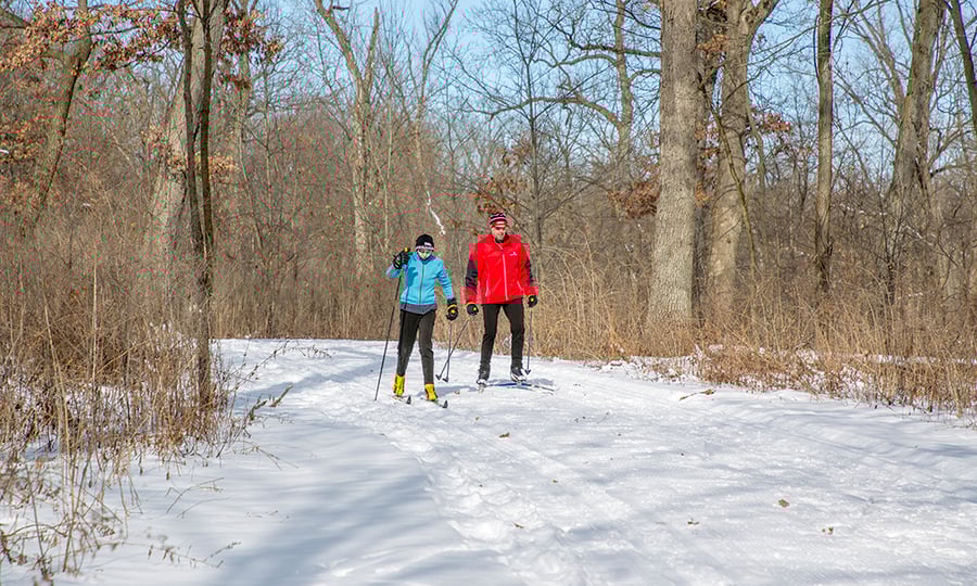A couple cross country skis down a forest trail.