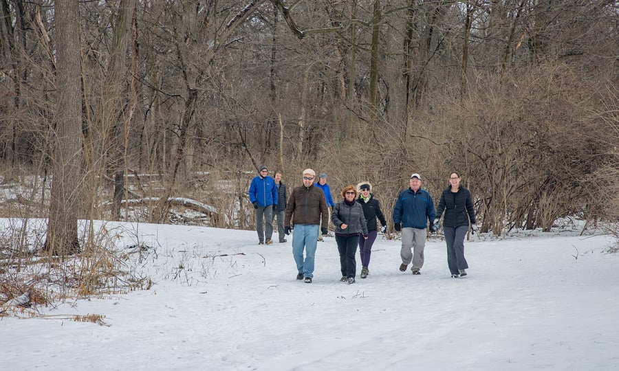 A group of adults enjoy a winter hike.
