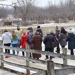 Things To Do School Programs Teacher Resources Teacher Professional Development