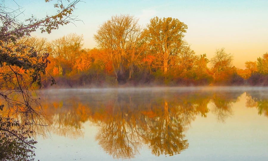 Trees in golden-hour light are reflected in a calm lake.