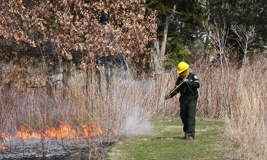 A worker in coveralls and helmet sprays remnant flames of a prescribed burn.