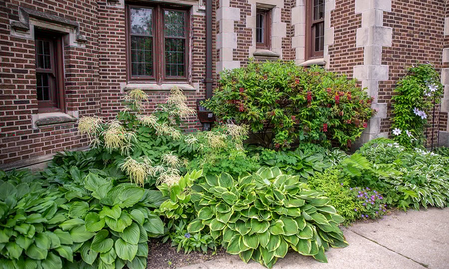 Bushes and flowers bloom in front of a brick building.
