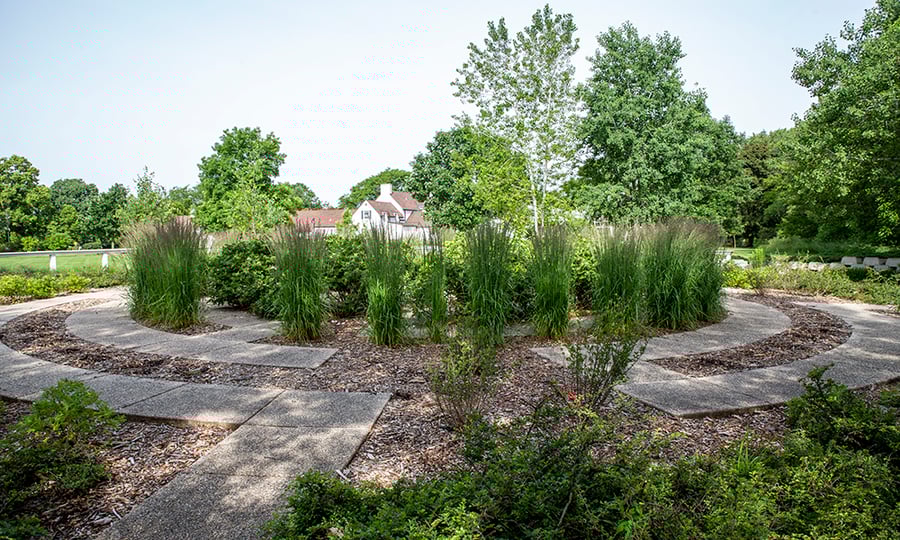 A stone walkway and plants form a sensory garden.