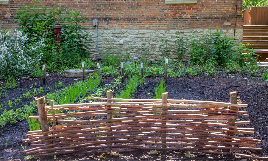 A freshly planted garden grows between a brick wall and a wattle fence.