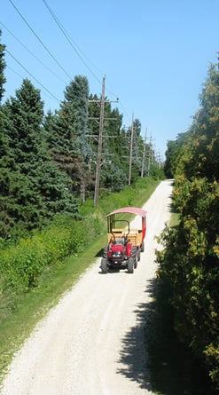 current-trai-SJF-333
