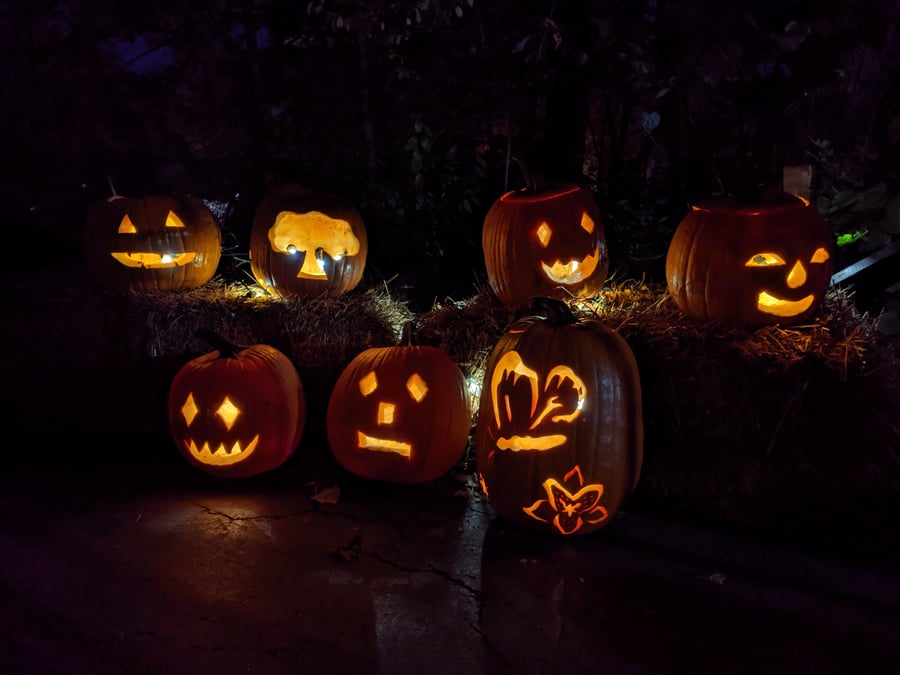 Seven jack-o'-lanterns rest on our against hay bales at night.
