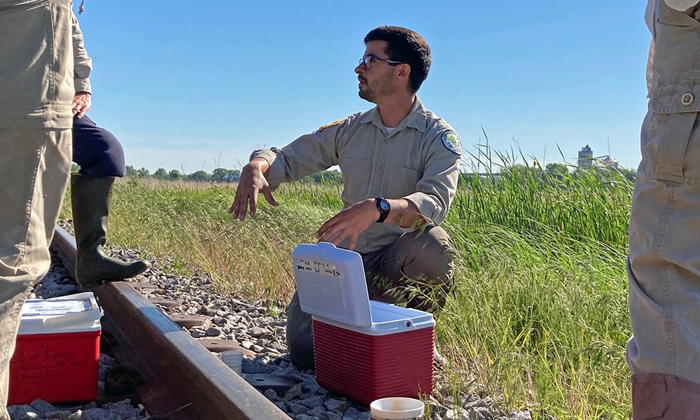 Hines-Emerald-Dragonfly-Release-Lockport-Prairie-WILL-COUNTY-FOREST-PRESERVE