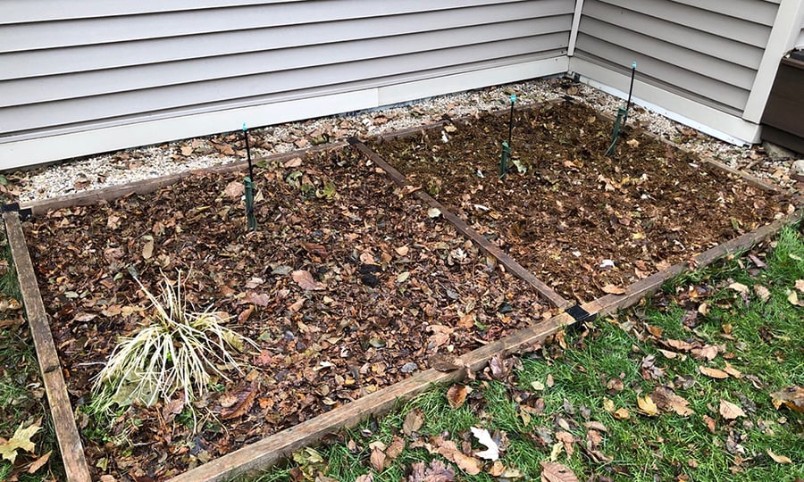 Mulched leaves cover a small garden.