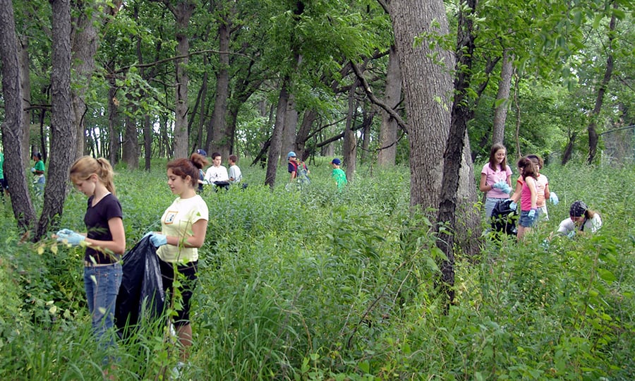 Volunteers collect seeds in a woodland environment.