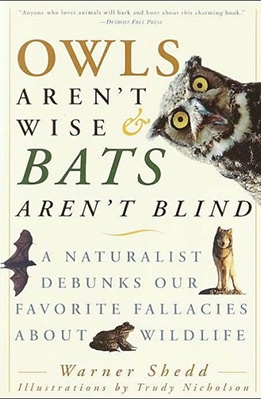 Owls-Arent-Wise-Bats-Arent-Blind.jpg