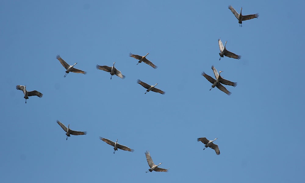 sandhills-blue-sky