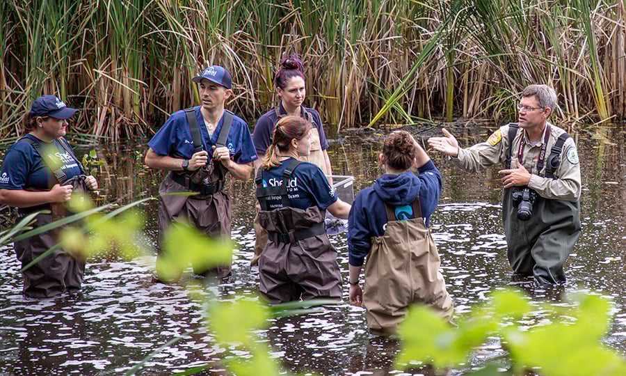 A group of people in waders stand in thigh-high water surrounded by plants.
