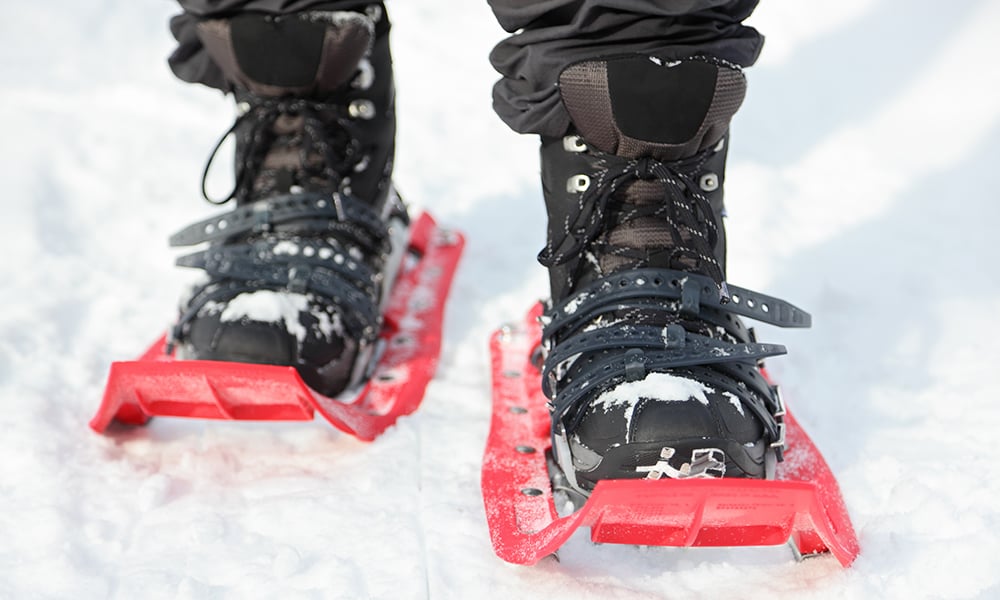 snowshoes