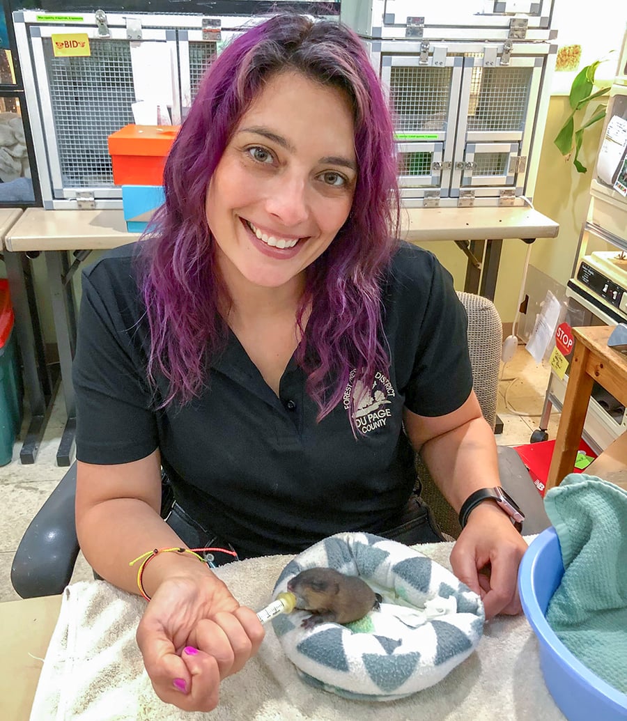 A woman smiles while feeding a baby mammal.