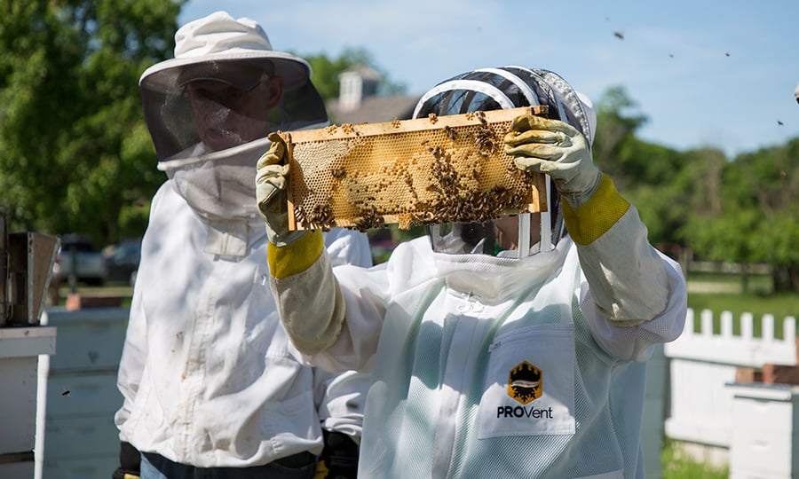 Two people in beekeeper uniforms inspect a hive.