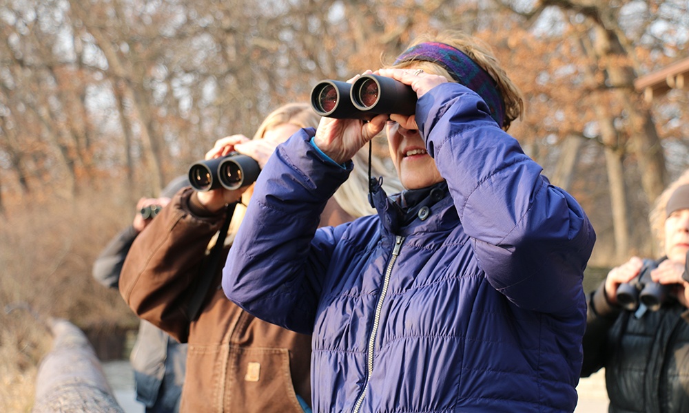 birding-on-salt-creek