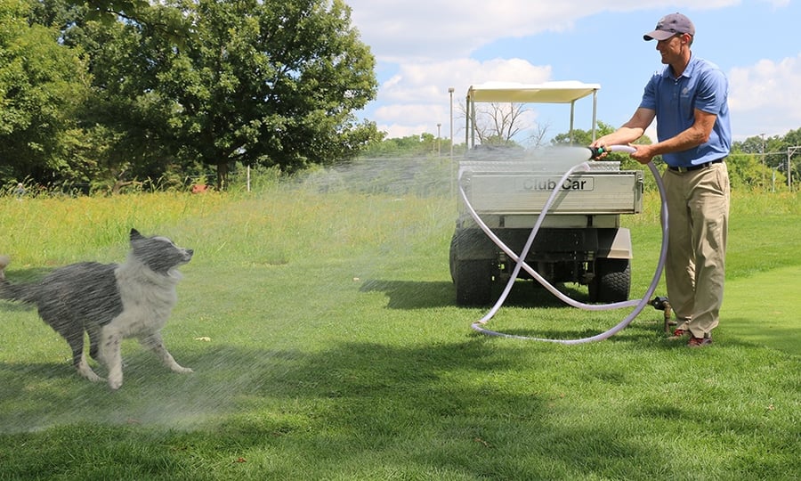 A man sprays a dog with a hose in a grass field.