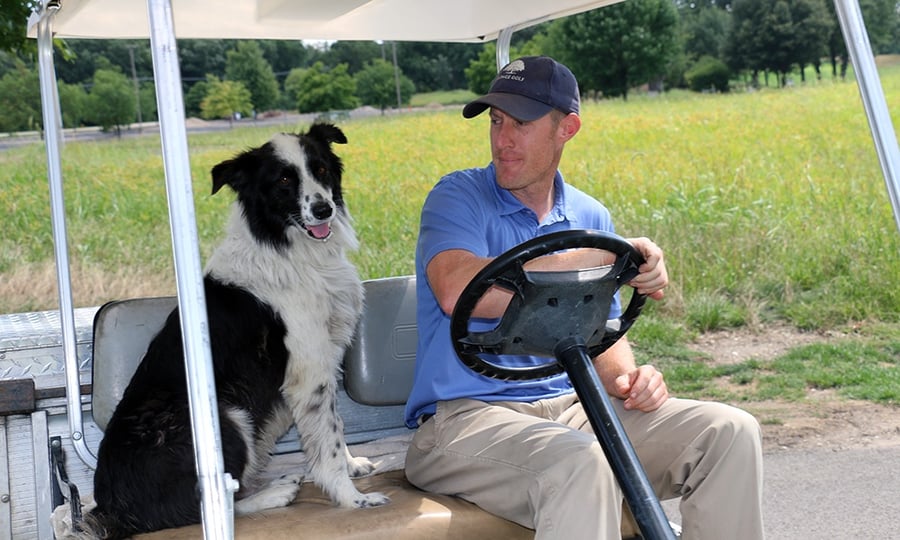 A border collie sits in the passenger seat of a golf cart next to a human.