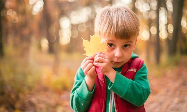 boy-holds-leaf-take5-opt-outside.jpg