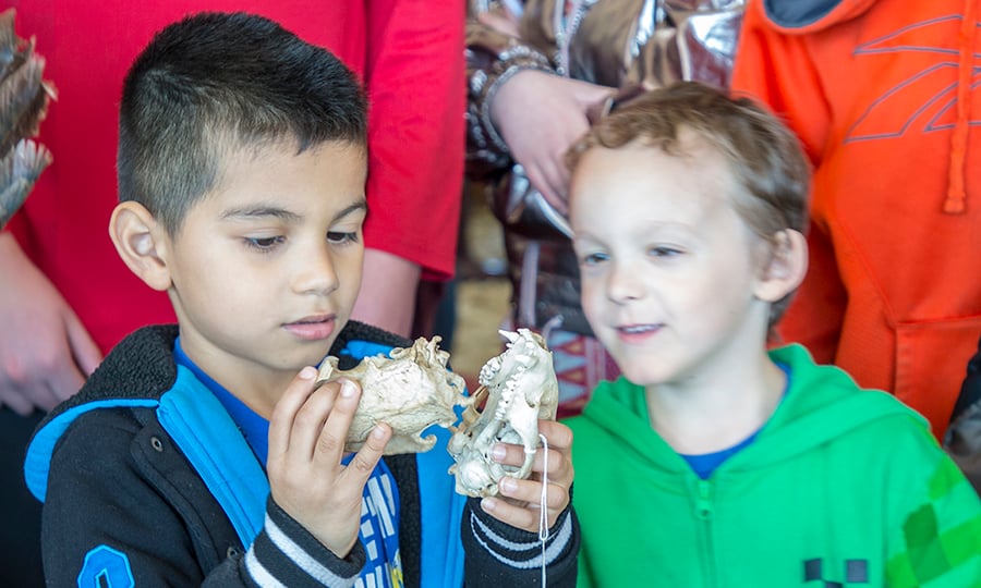 One child holds an animal skull as another boy looks on smiling.