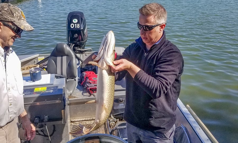 A man holds a large northern pike while standing on a boat while another man looks on.