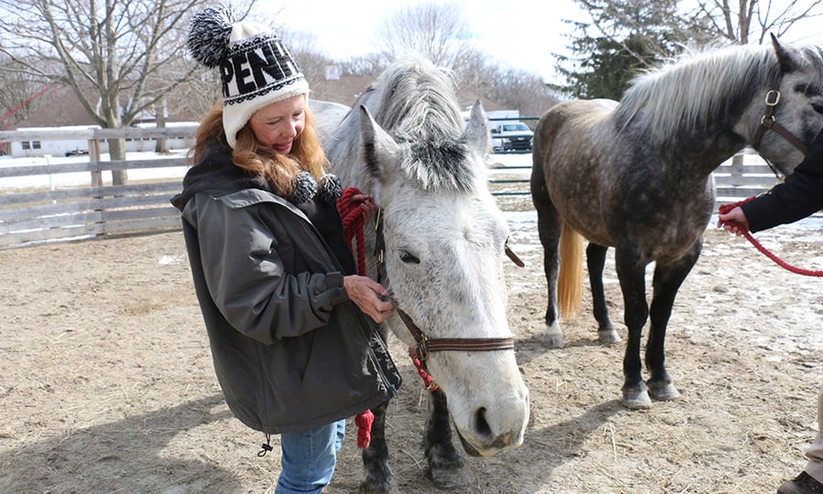A woman scratches the cheek of a light grey horse.