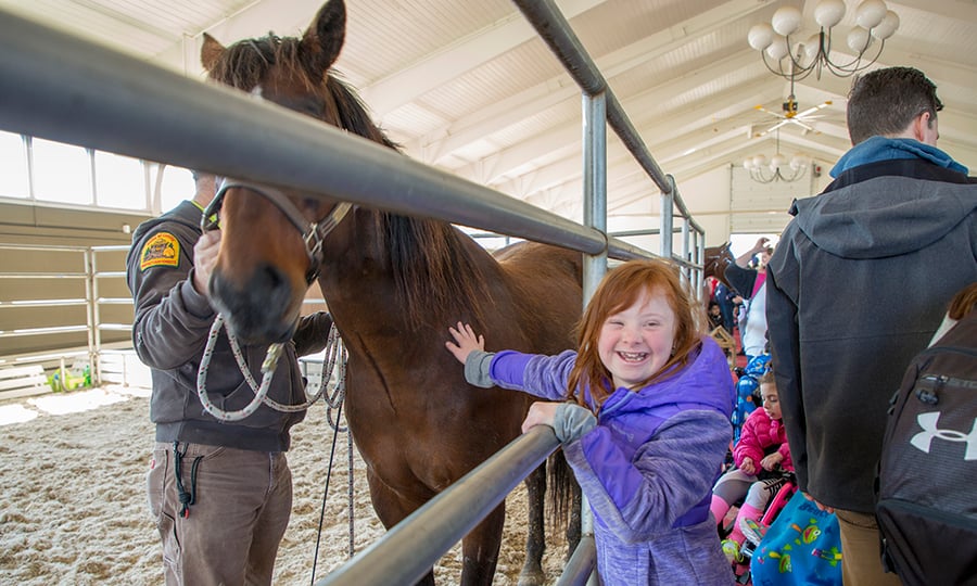A girl smiles wide as she pets a brown horse.