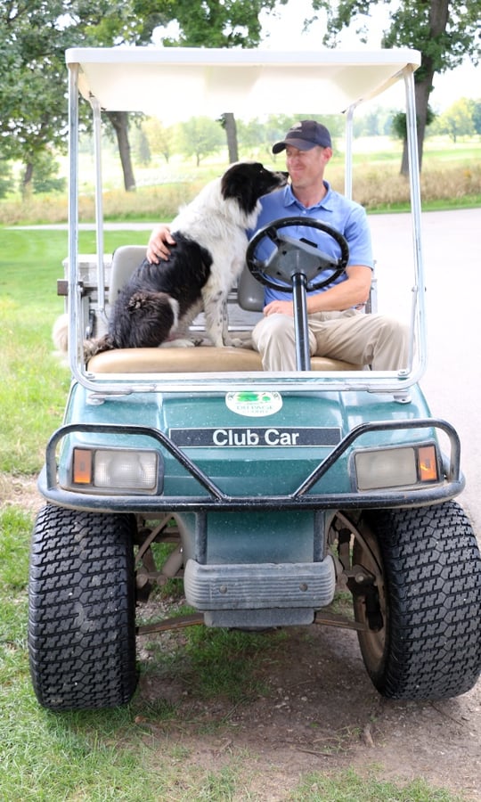 A border collie sitting in a golf cart licks the face of a man sitting next to him.