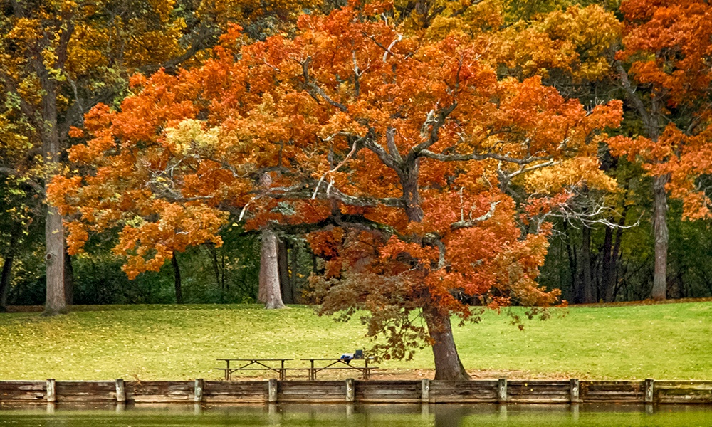 herrick-lake-picnic-table