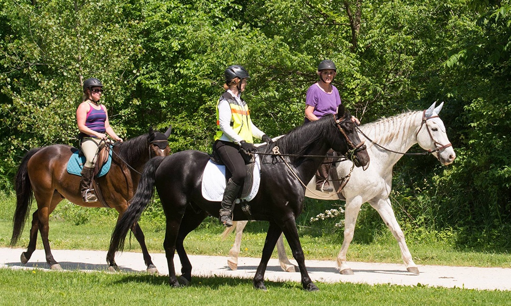 horseback-riders-on-trail